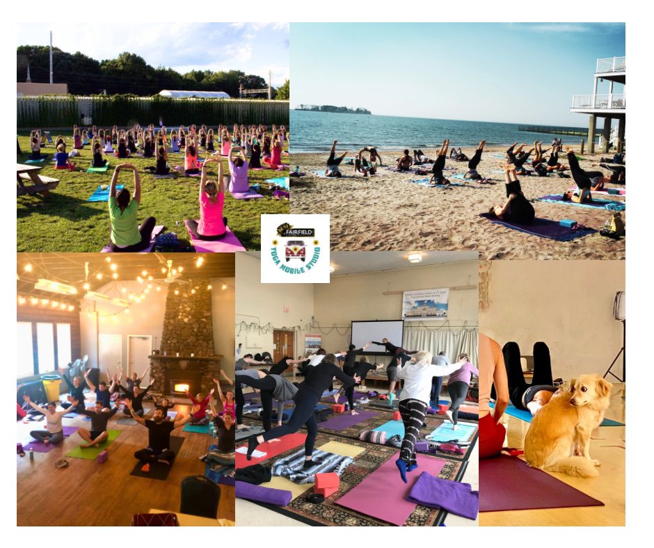 Un collage de cinco clases de Yoga Mobile Studio: un césped, una playa, un salón con luz cálida y chimenea, un salón comunitario y un perro dorado junto a una estudiante